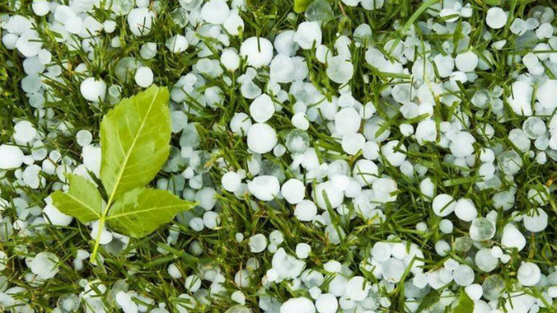 � ��������� ������ �� ��������� ��������� ����