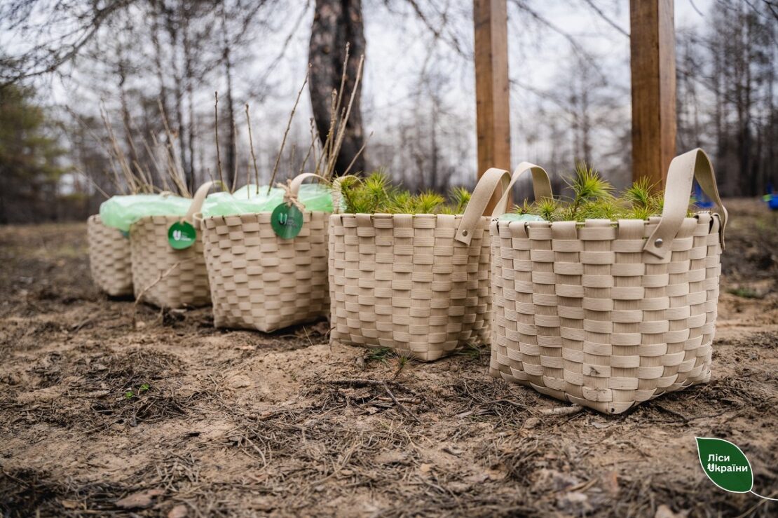 �� ��������� ���������� ��� ���