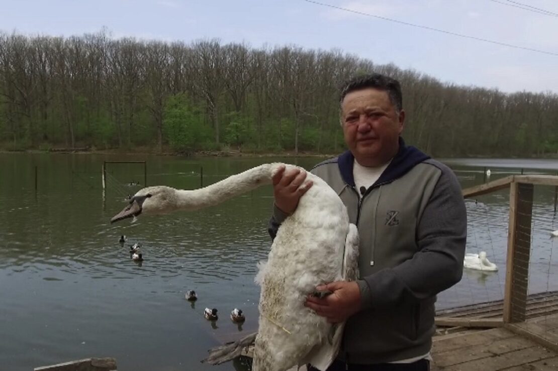 � �������� ������� ��������� �� ���� ����� ���������� ������