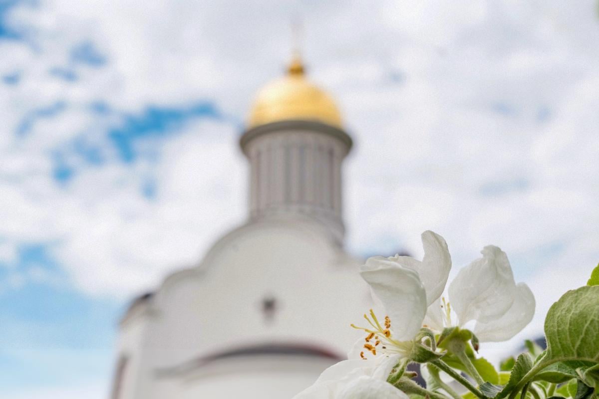 З Чистим четвергом 2026: красиві слова та листівки, від яких стає тепло на душі З Чистим четвергом 2026: красиві слова та листівки, від яких стає тепло на душі