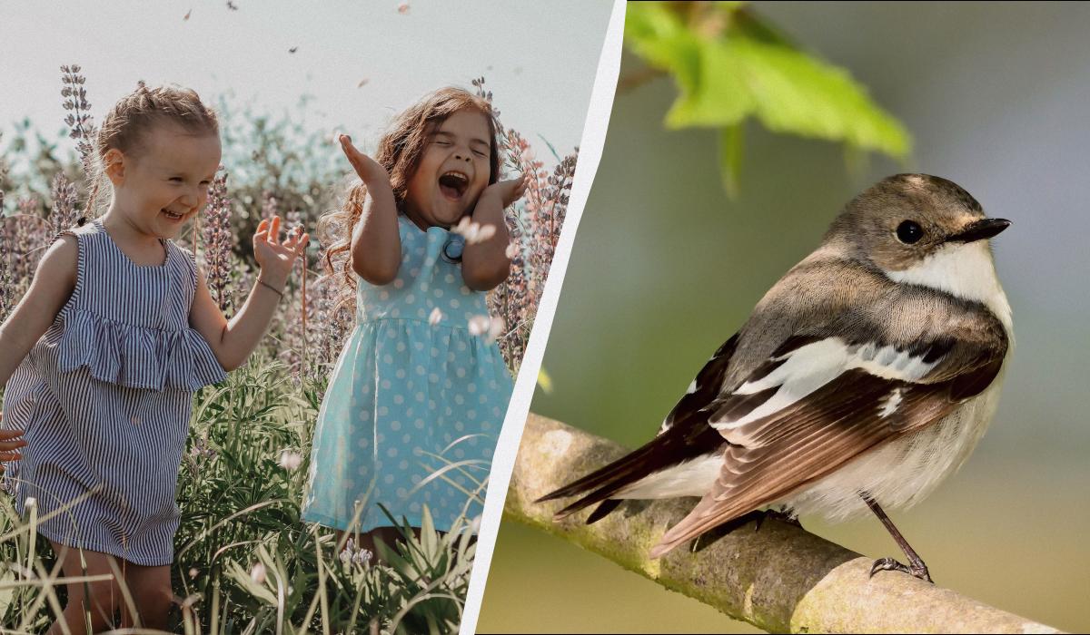 ������ ����� � ������ �� ��������� ����� � ���: �� ������ ����� 9 �����