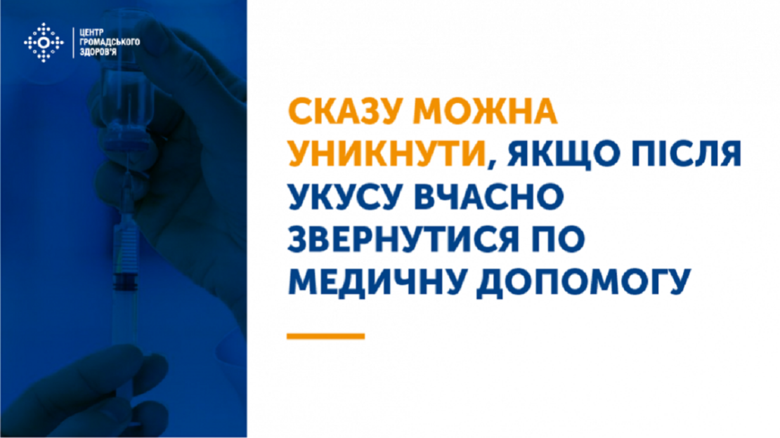 За три місяці 2026 року понад 400 мешканців Харківщини отримали антирабічну допомогу За три місяці 2026 року понад 400 мешканців Харківщини отримали антирабічну допомогу