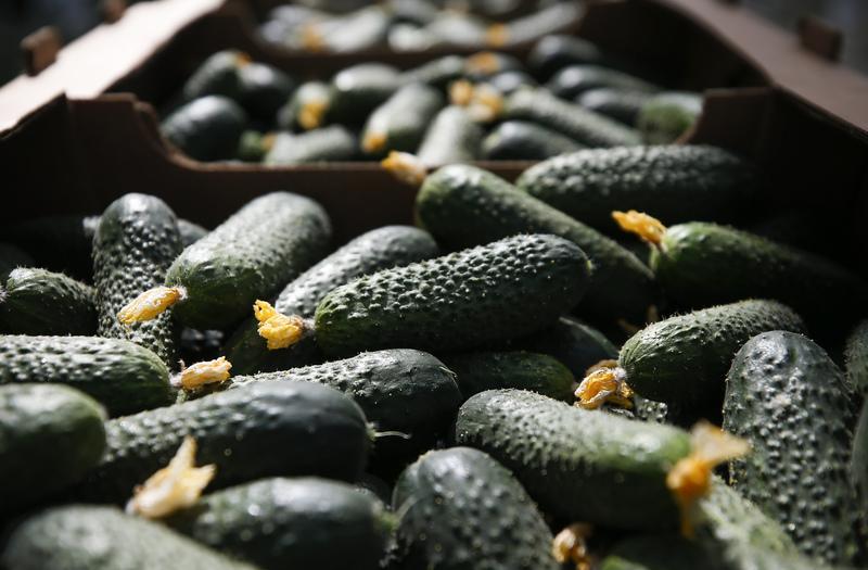 � ������ ���������� ���� �� �����: ������ ����� �������