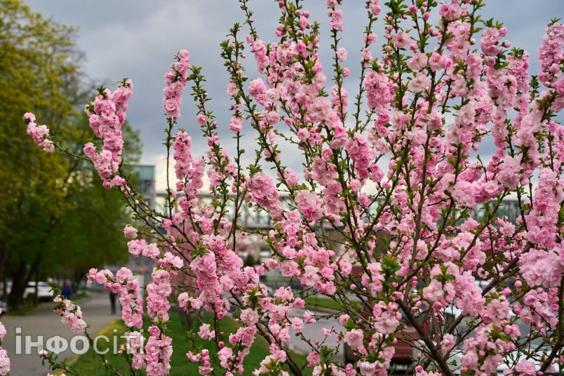 � ������ ���� ������