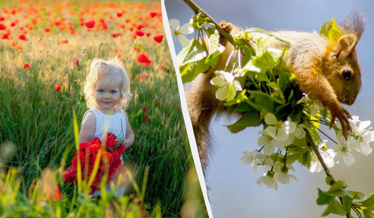 24 ����� - ����� �����: �� �������� �������� ������� ����� � ��������� ����������