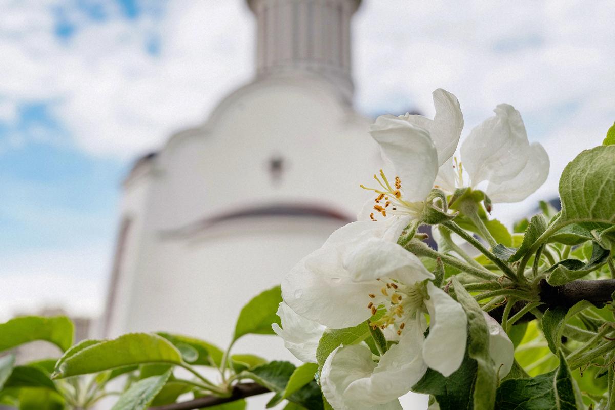 25 �����: ĳ���� ������ - �� ��������� ������ ��������� ����� ���