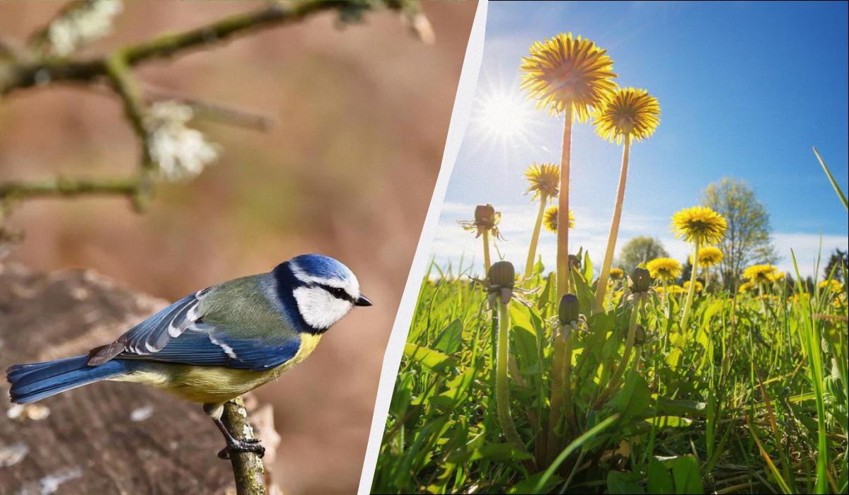 25 ����� � ������: ��� ������� �� ����� � ���� ������� �������� ��������� ��������