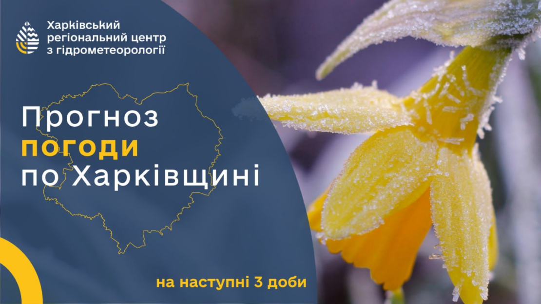 ������ � ������ �� ������ � �����, 26 �����