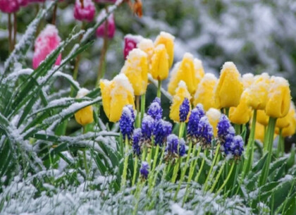 ����� ����� �������� ��������� �� 3�