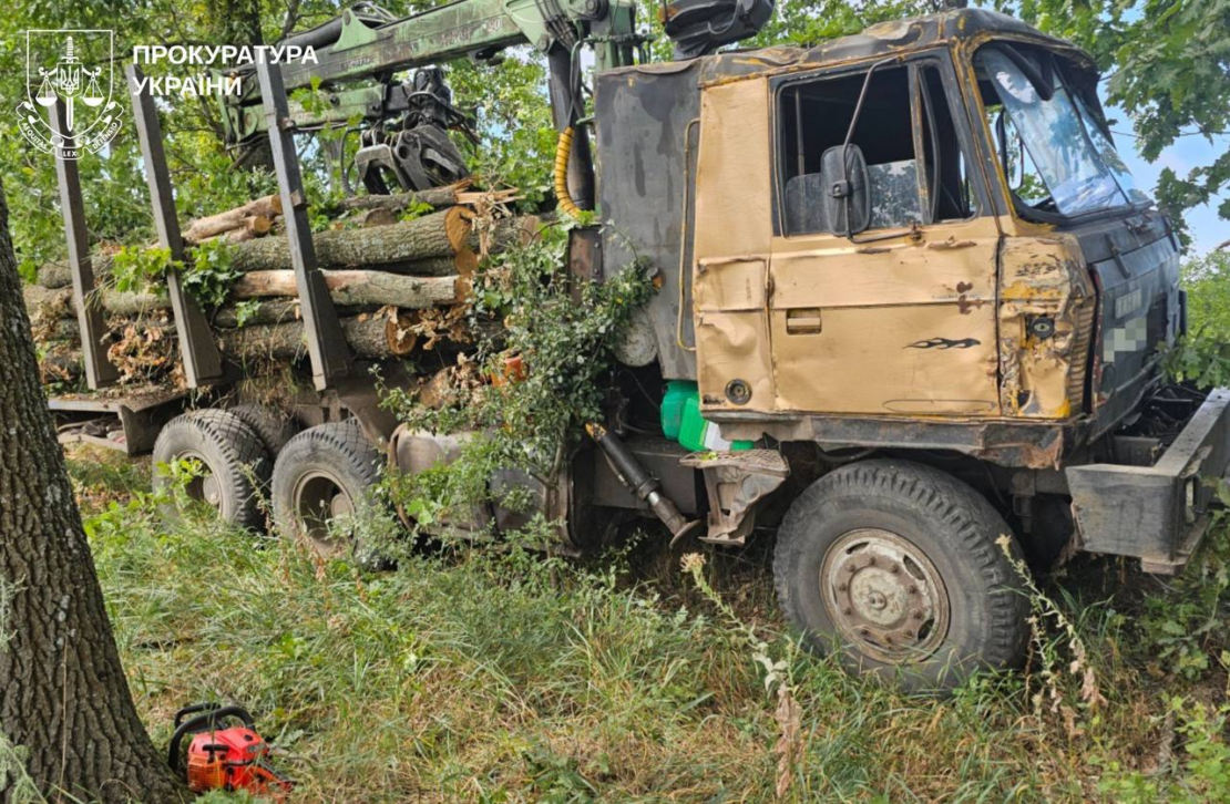 Чергова незаконна порубка лісу на Харківщині: вручено нову підозру Чергова незаконна порубка лісу на Харківщині: вручено нову підозру
