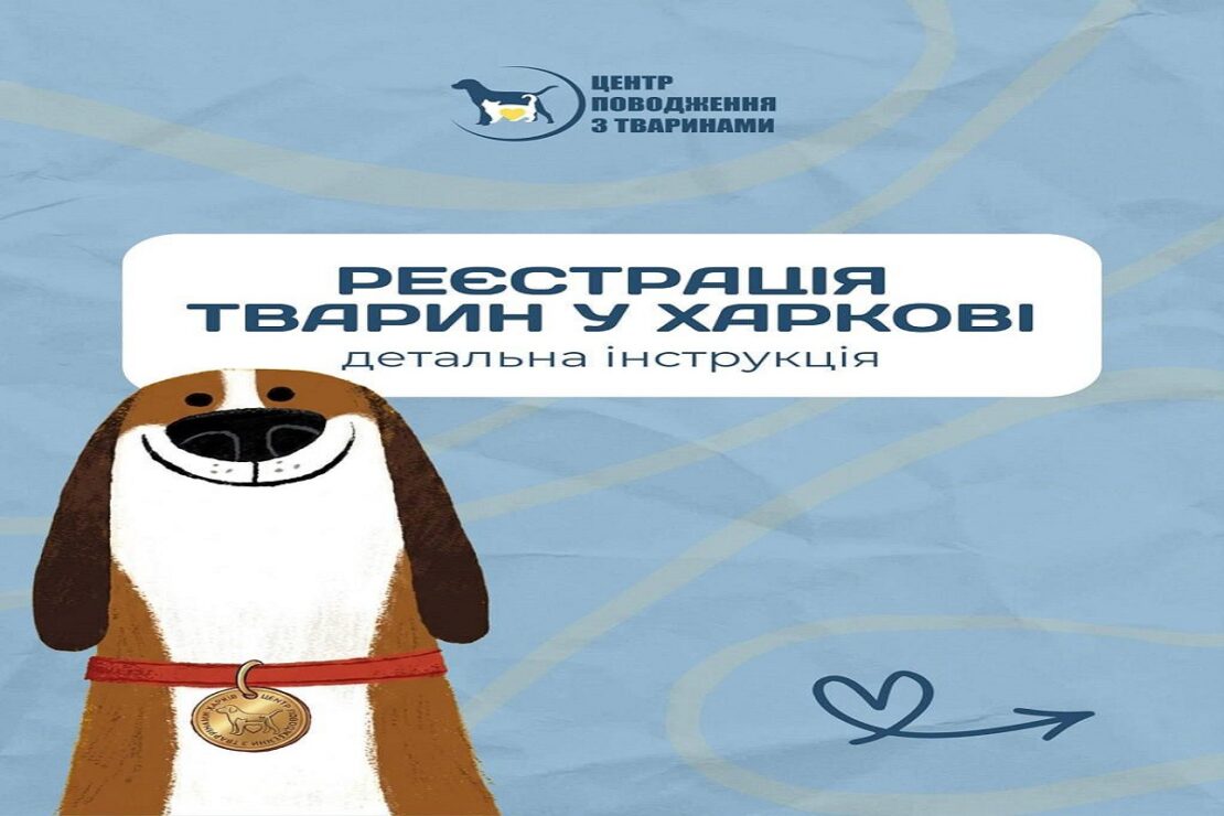 �� � �� ������������  �������� ������ � ������:  ����������