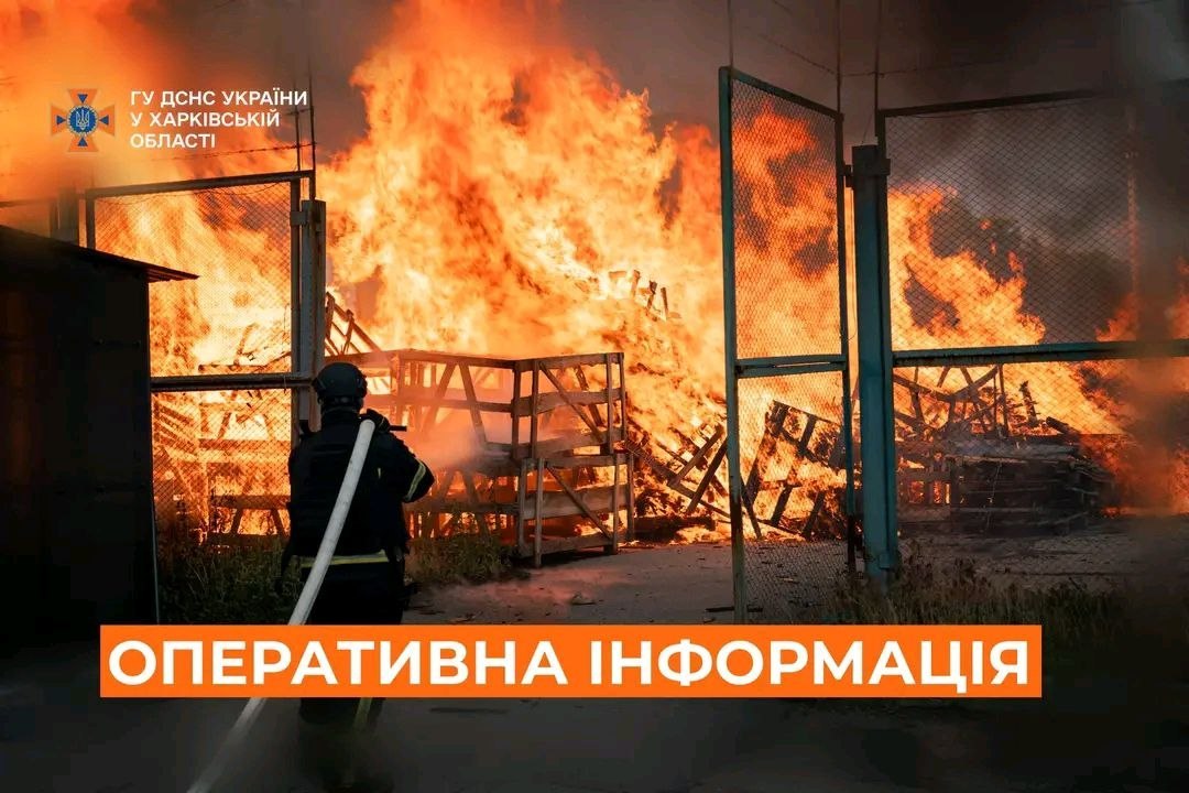 �� ��������� ����� ������� ������� 11 �����: ����� �����, ������ �� ��������