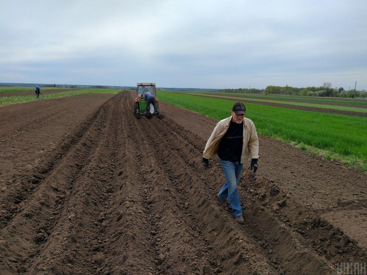 Ціни на землю в Україні переписали: скільки коштує один гектар зараз Ціни на землю в Україні переписали: скільки коштує один гектар зараз