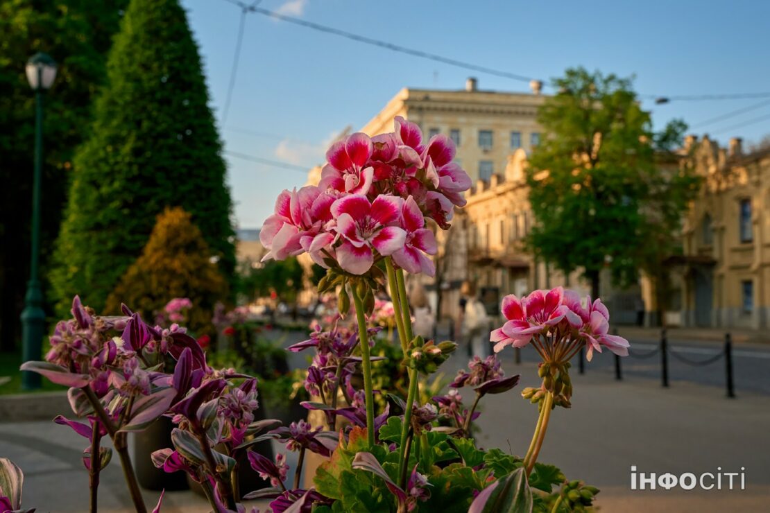 Погода у Харкові на сьогодні, 17 липня Погода у Харкові на сьогодні, 17 липня