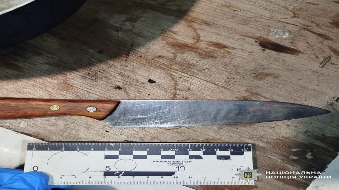На Харківщині жінка завдала гостю п’ять ударів ножем На Харківщині жінка завдала гостю п’ять ударів ножем