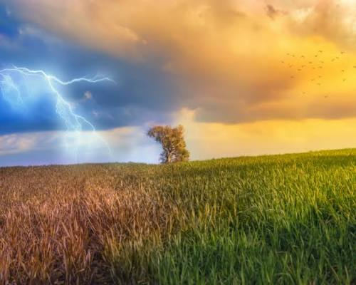 На Харківщині оцінили вплив липневої погоди на врожай пізніх культур На Харківщині оцінили вплив липневої погоди на врожай пізніх культур