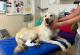 �� ��������� ��������� ������ ���, ���� �������� �� ������������� ������